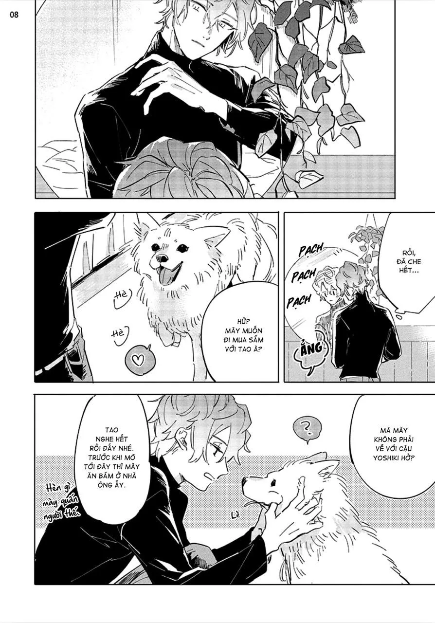 Nắng Phủ Cánh Hoa Lau HOÀN Chapter 4 Trang 8