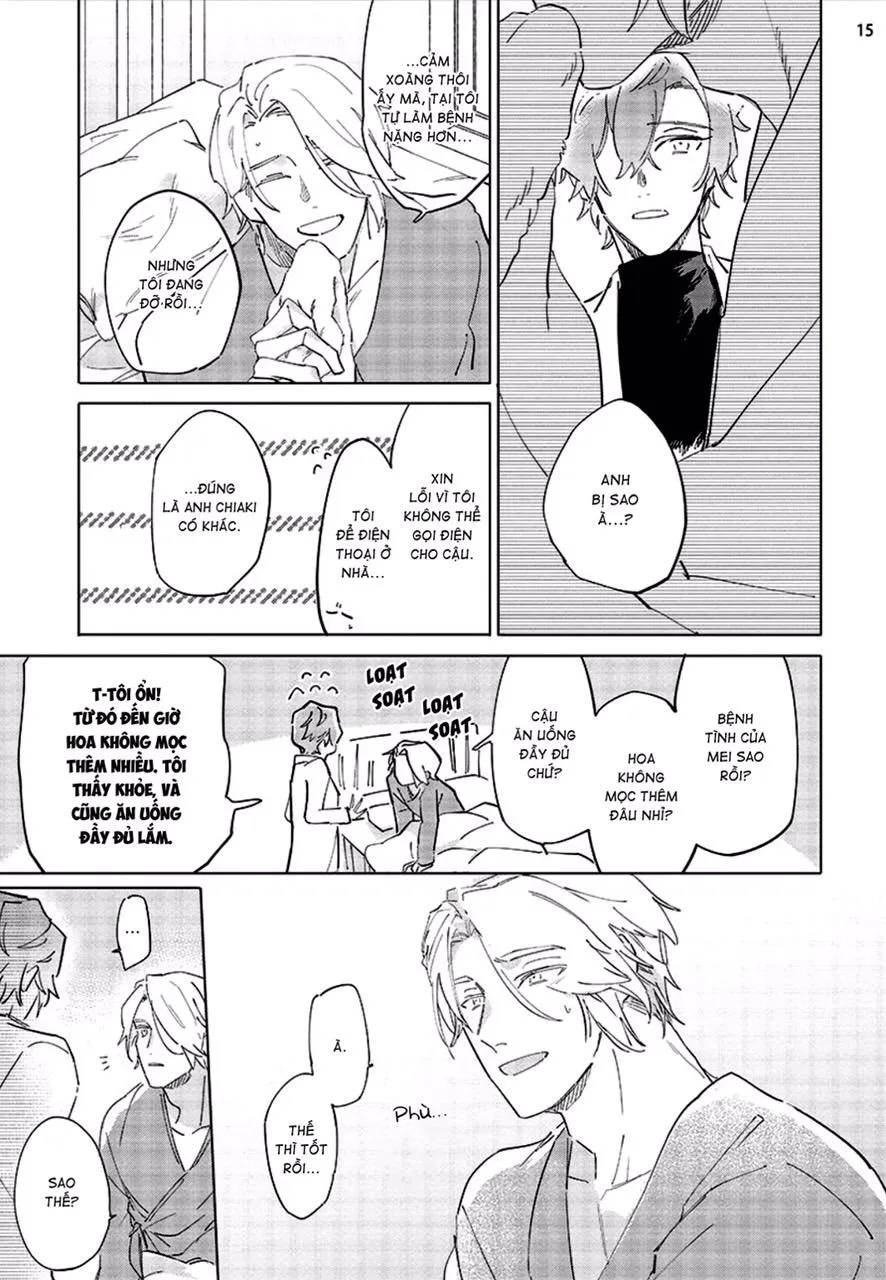 Nắng Phủ Cánh Hoa Lau HOÀN Chapter 4 Trang 15
