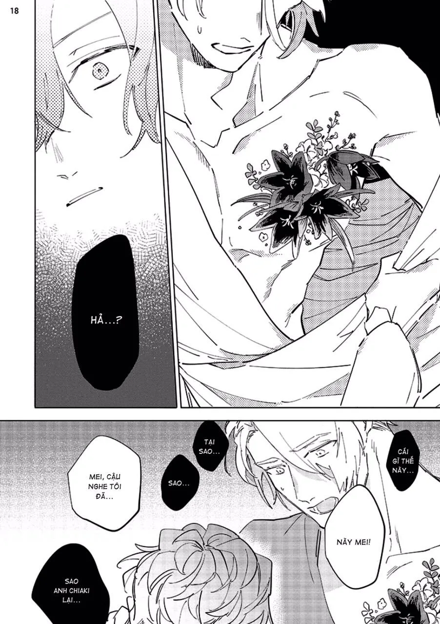 Nắng Phủ Cánh Hoa Lau HOÀN Chapter 4 Trang 18