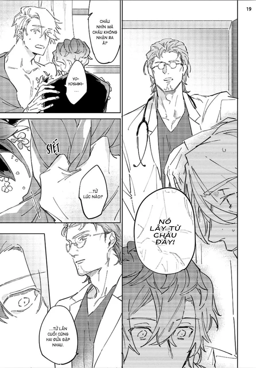 Nắng Phủ Cánh Hoa Lau HOÀN Chapter 4 Trang 19