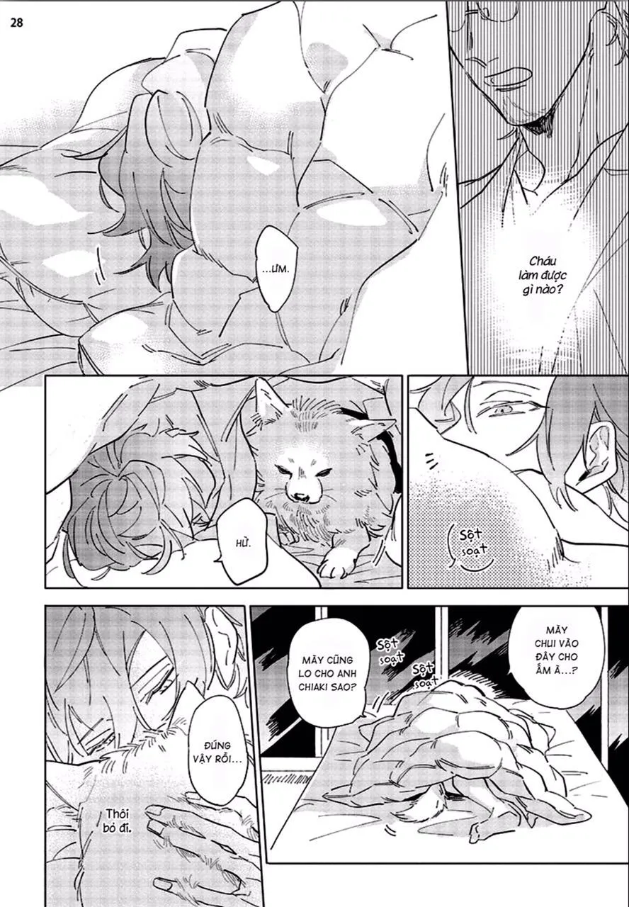 Nắng Phủ Cánh Hoa Lau HOÀN Chapter 4 Trang 28