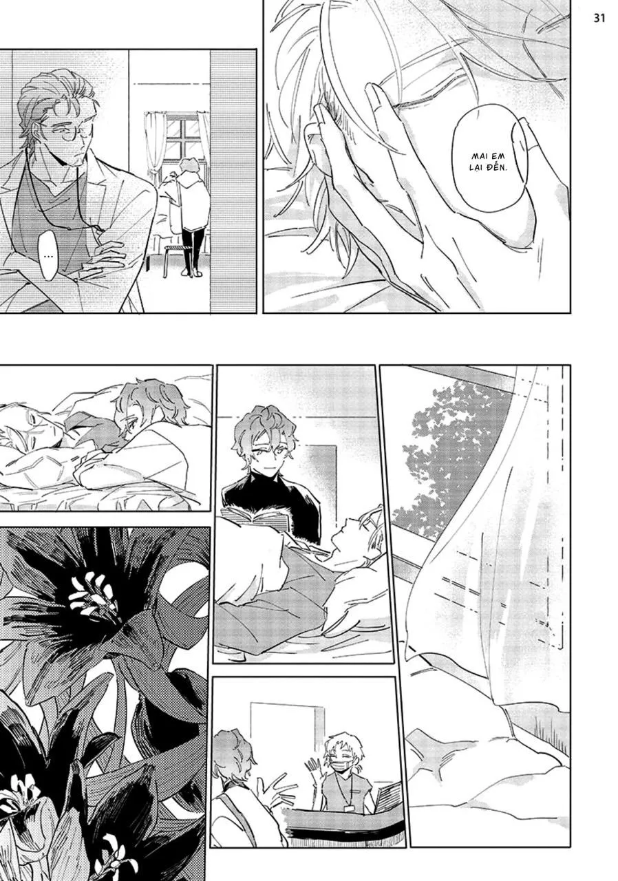 Nắng Phủ Cánh Hoa Lau HOÀN Chapter 4 Trang 31