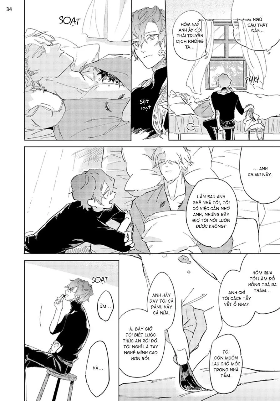Nắng Phủ Cánh Hoa Lau HOÀN Chapter 4 Trang 34