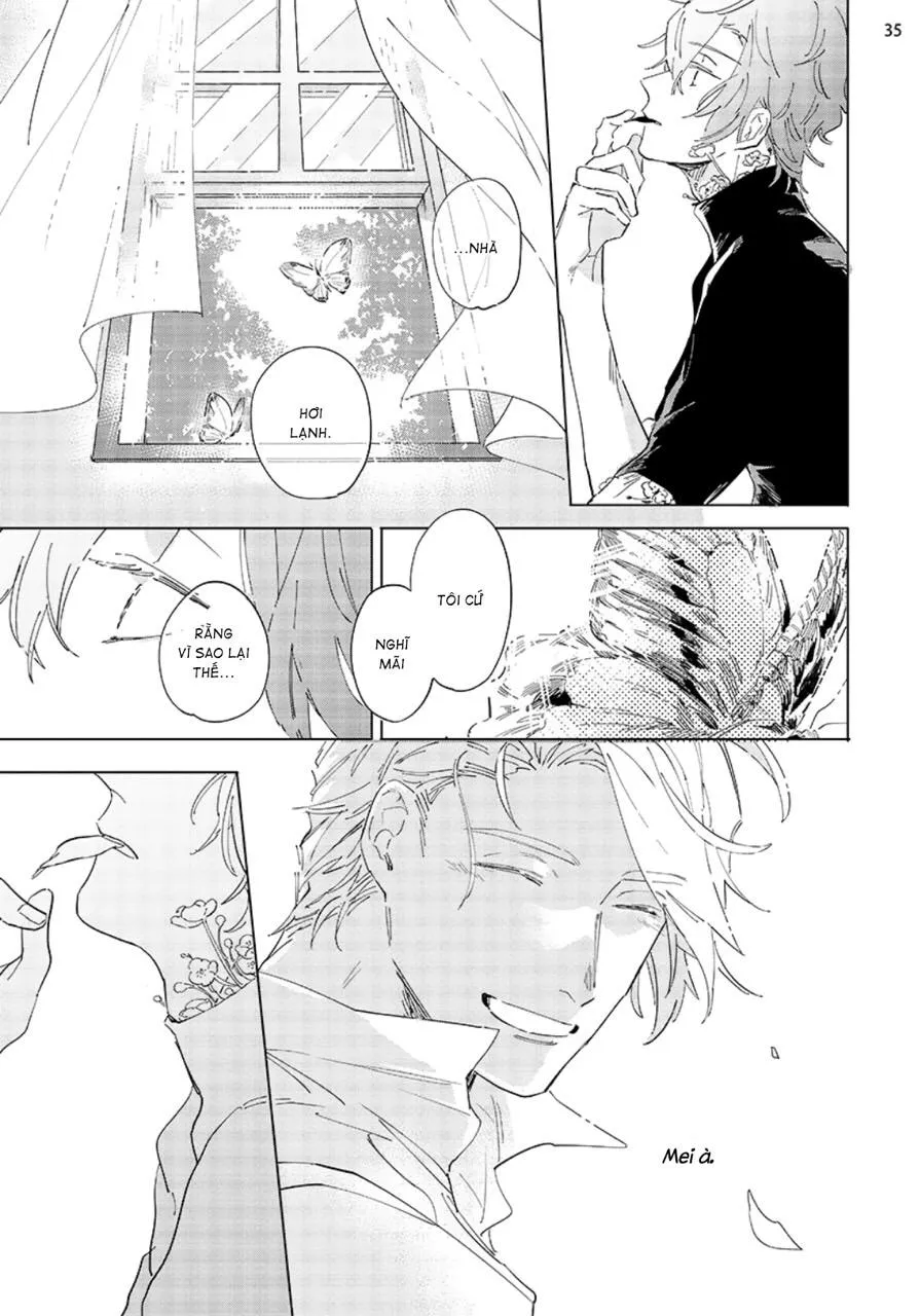 Nắng Phủ Cánh Hoa Lau HOÀN Chapter 4 Trang 35