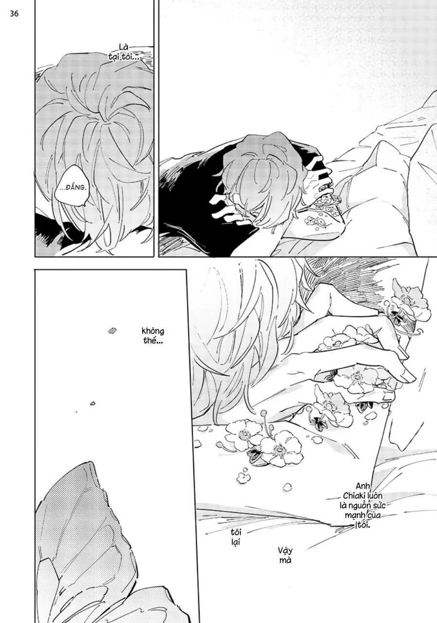 Nắng Phủ Cánh Hoa Lau HOÀN Chapter 4 Trang 36