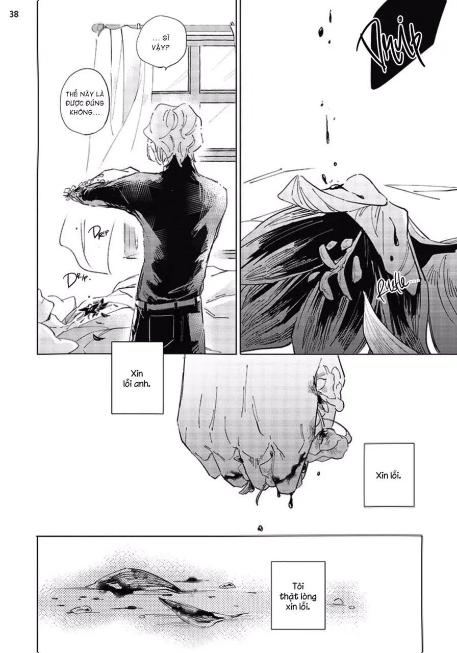Nắng Phủ Cánh Hoa Lau HOÀN Chapter 4 Trang 38