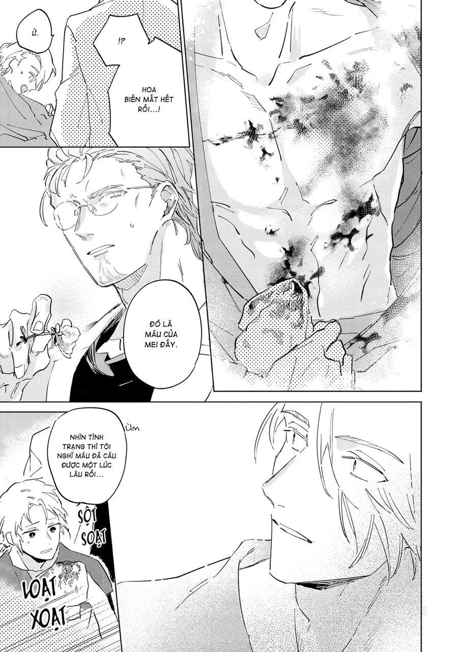 Nắng Phủ Cánh Hoa Lau HOÀN Chapter 5 Trang 5