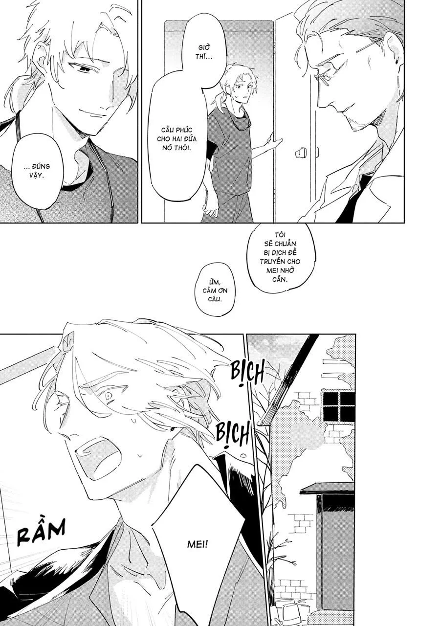 Nắng Phủ Cánh Hoa Lau HOÀN Chapter 5 Trang 7