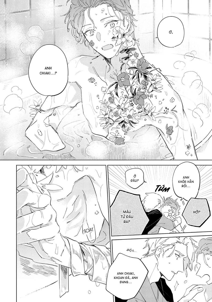 Nắng Phủ Cánh Hoa Lau HOÀN Chapter 5 Trang 8