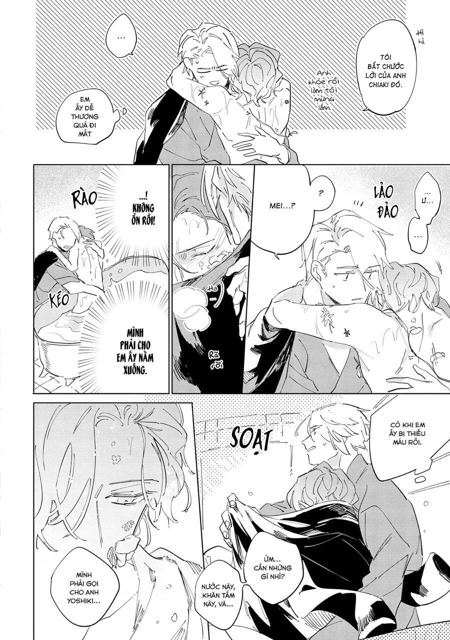 Nắng Phủ Cánh Hoa Lau HOÀN Chapter 5 Trang 10