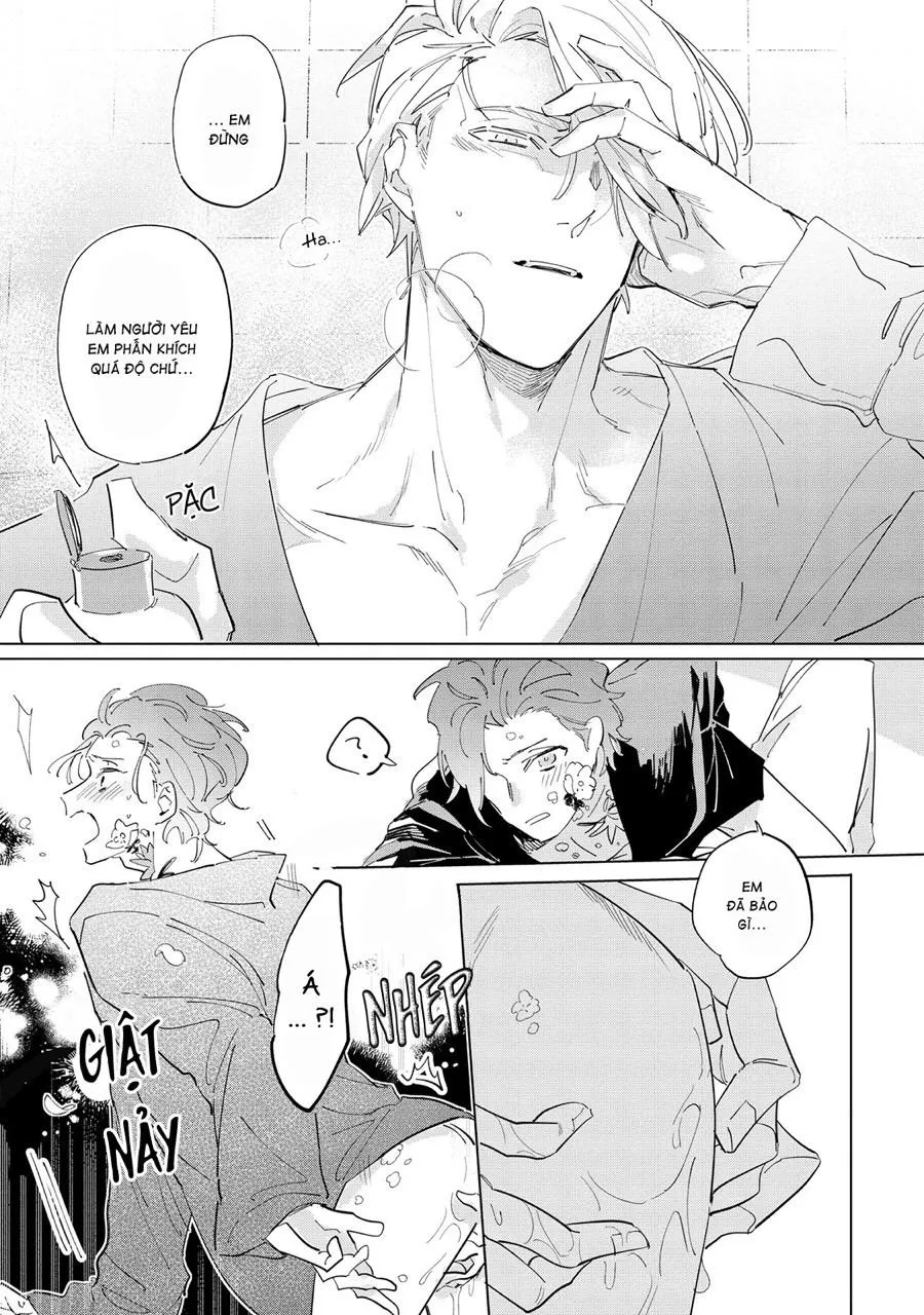 Nắng Phủ Cánh Hoa Lau HOÀN Chapter 5 Trang 19