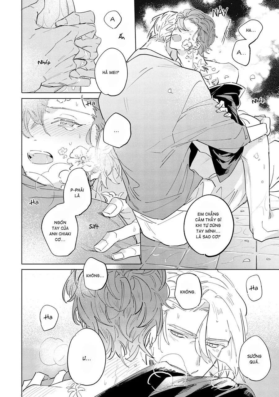 Nắng Phủ Cánh Hoa Lau HOÀN Chapter 5 Trang 20