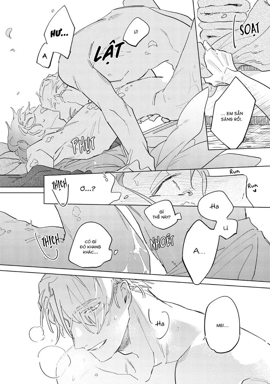 Nắng Phủ Cánh Hoa Lau HOÀN Chapter 5 Trang 24