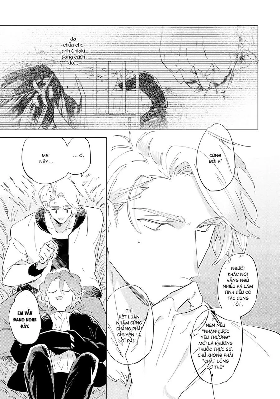 Nắng Phủ Cánh Hoa Lau HOÀN Chapter 5 Trang 37