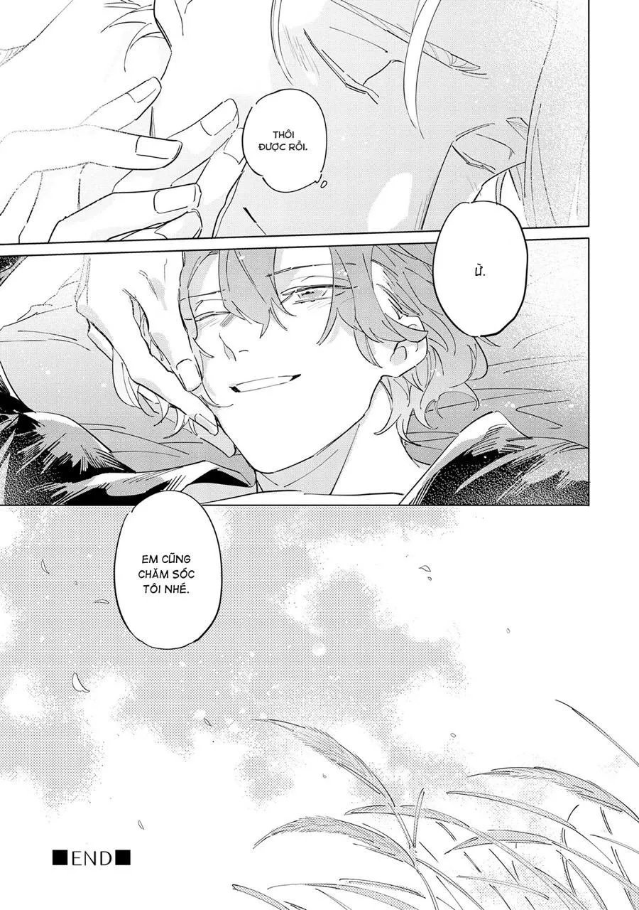 Nắng Phủ Cánh Hoa Lau HOÀN Chapter 5 Trang 39