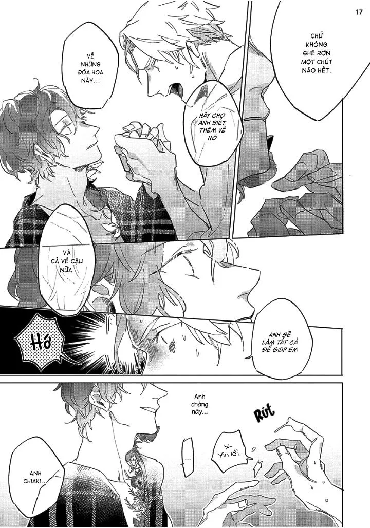 Nắng Phủ Cánh Hoa Lau HOÀN Chapter 1 Trang 17