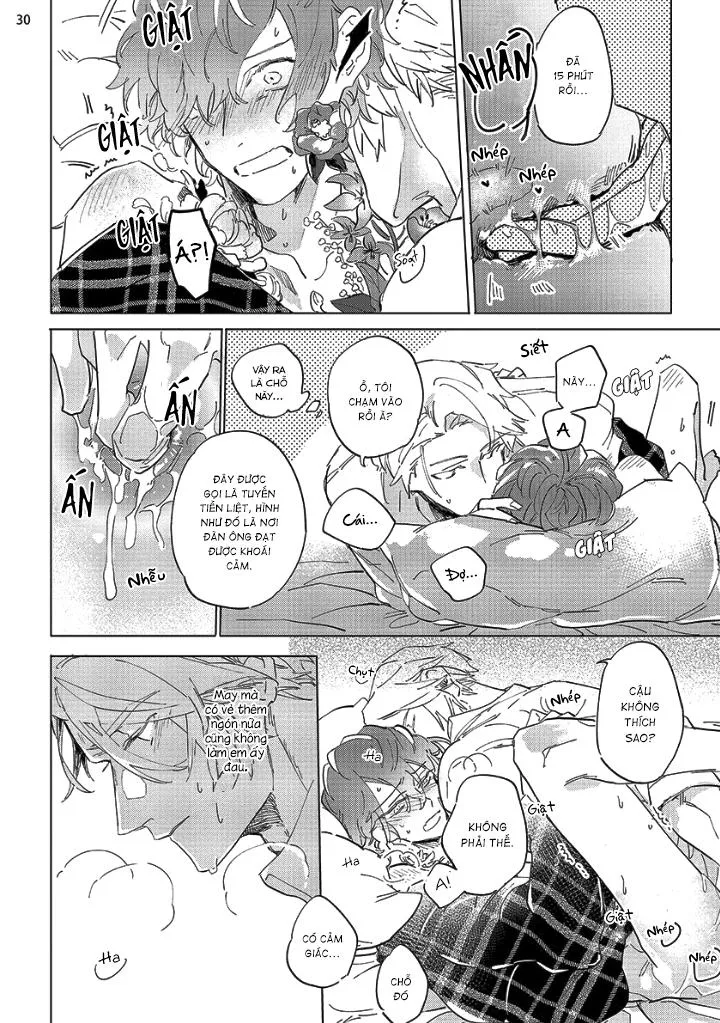 Nắng Phủ Cánh Hoa Lau HOÀN Chapter 1 Trang 29