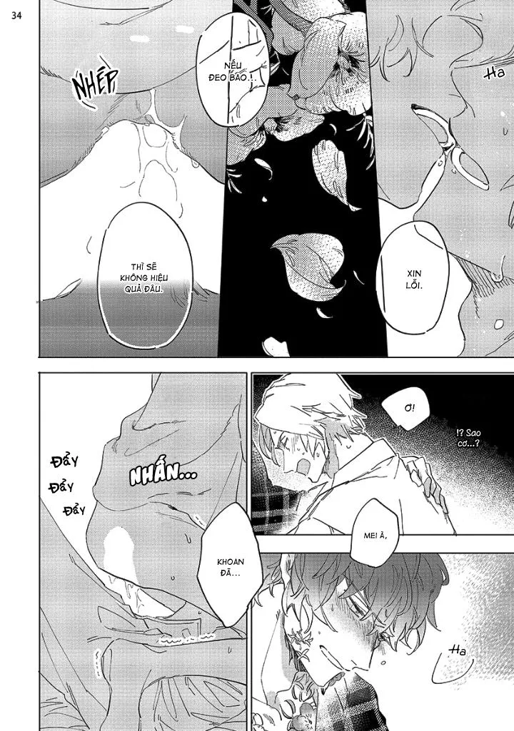 Nắng Phủ Cánh Hoa Lau HOÀN Chapter 1 Trang 33