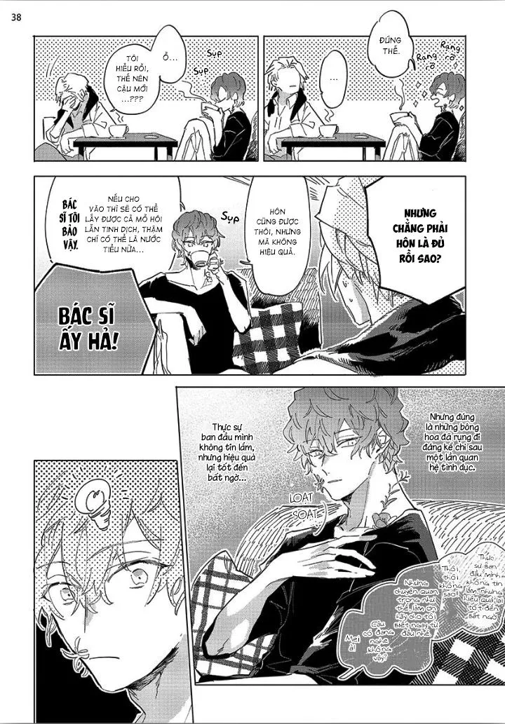 Nắng Phủ Cánh Hoa Lau HOÀN Chapter 1 Trang 37