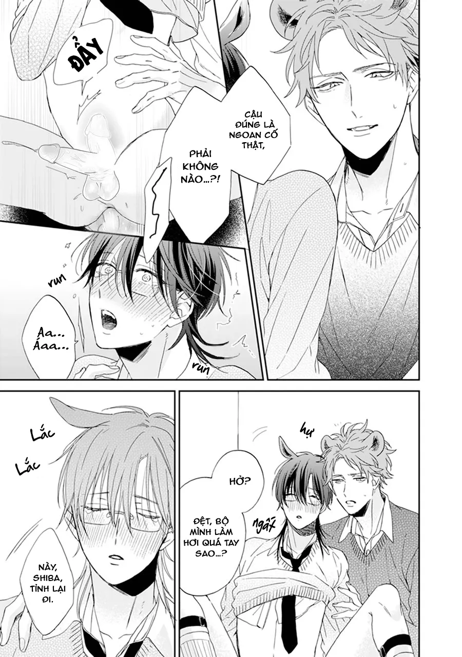 Giống Thuần Không Biết Lung Lay Vol 2 Chapter 3 Trang 31