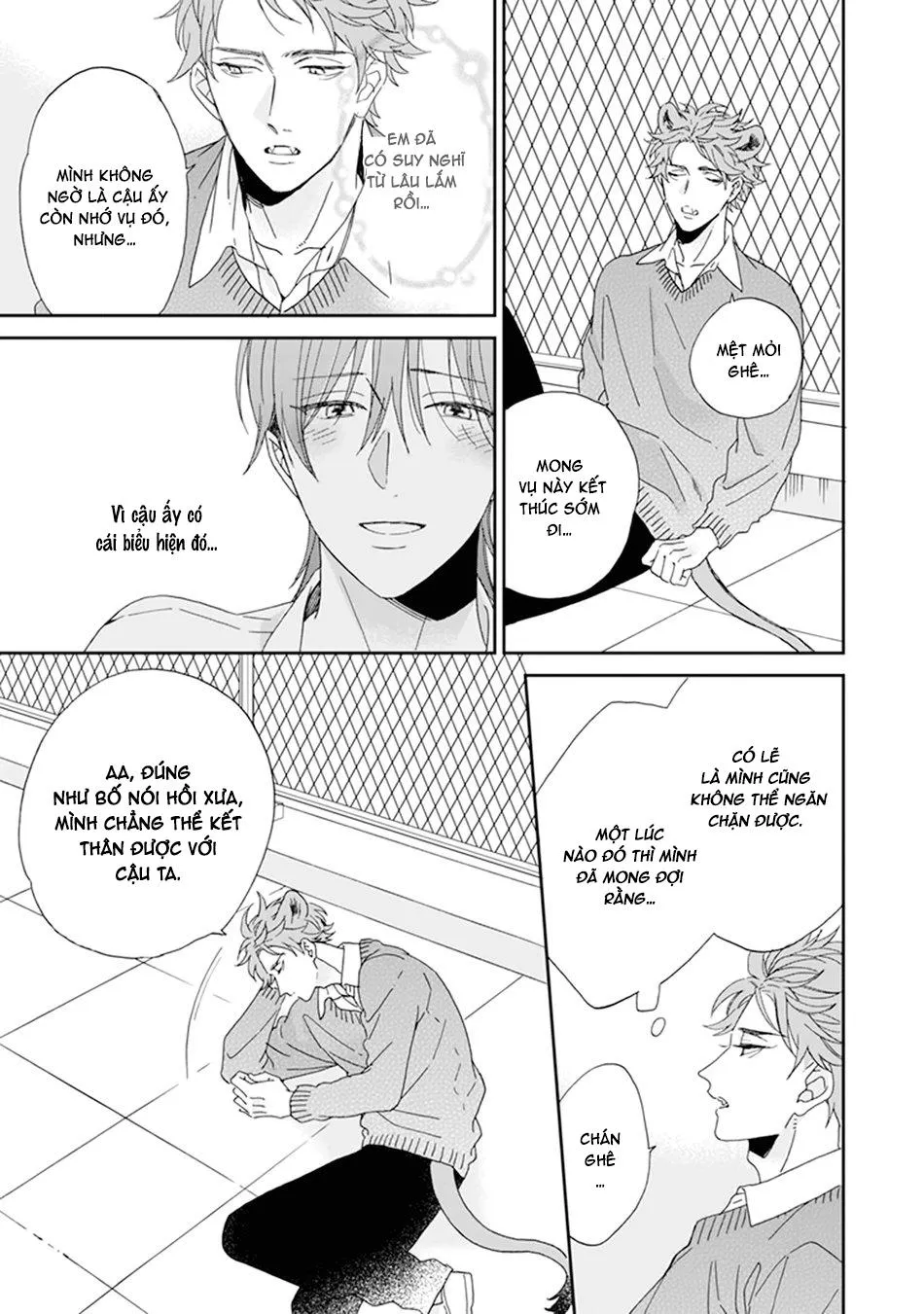 Giống Thuần Không Biết Lung Lay Vol 2 Chapter 5 Trang 15