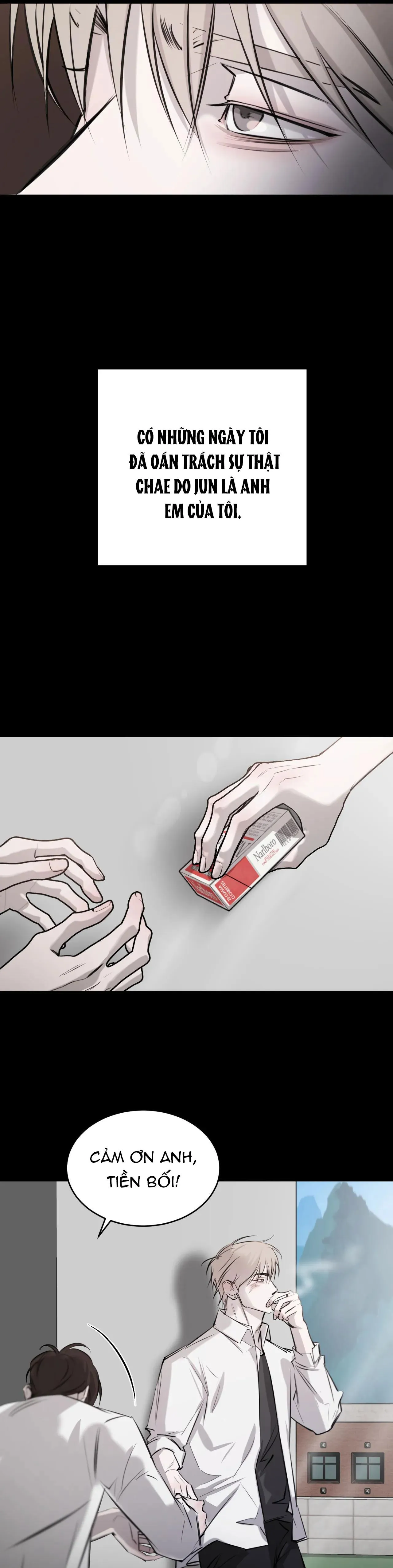 GIỮA TÌNH CỜ VÀ ĐỊNH MỆNH Chapter 25 Trang 20