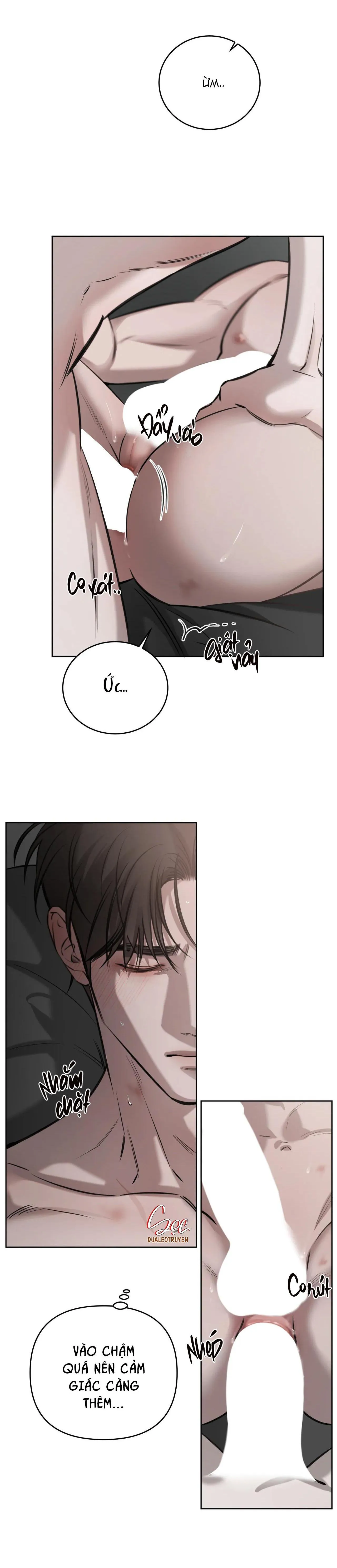 GIỮA TÌNH CỜ VÀ ĐỊNH MỆNH Chapter 48 Trang 11