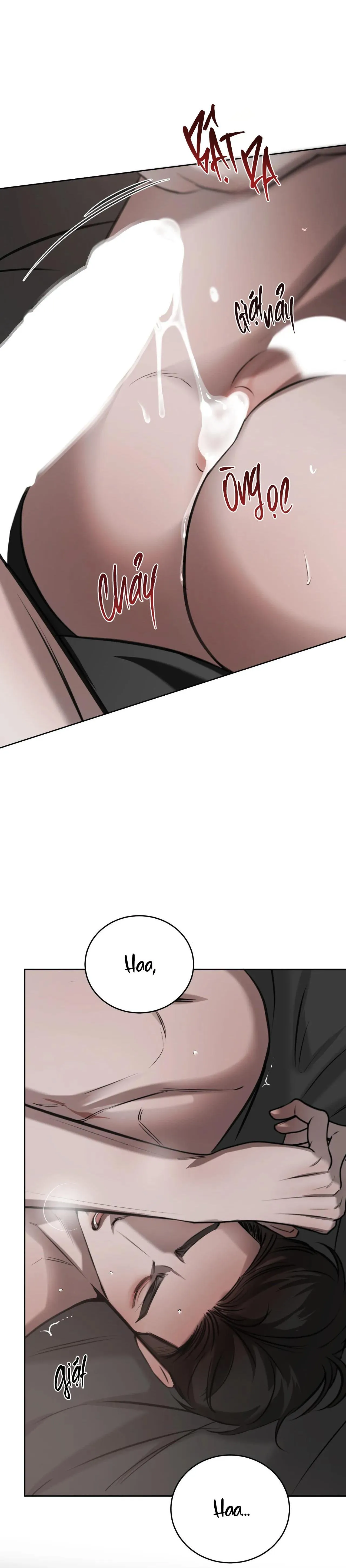 GIỮA TÌNH CỜ VÀ ĐỊNH MỆNH Chapter 49 Trang 3