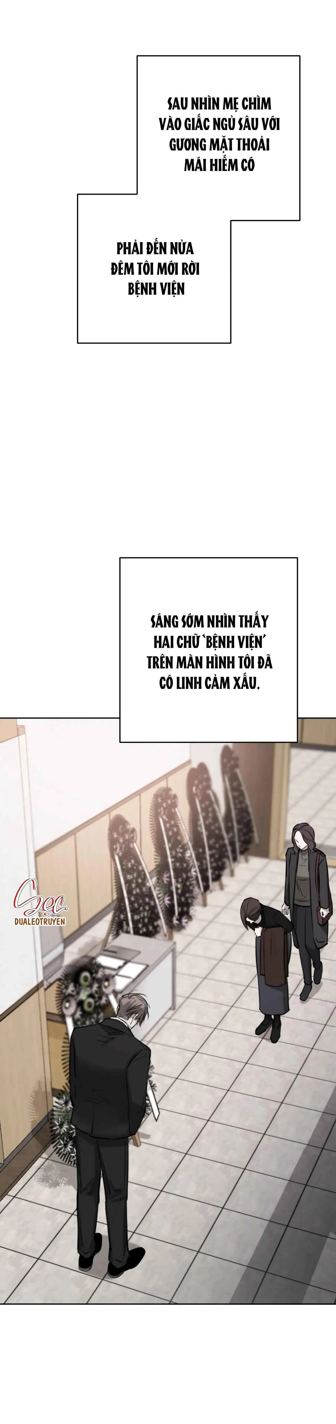 GIỮA TÌNH CỜ VÀ ĐỊNH MỆNH Chapter 66 Trang 16