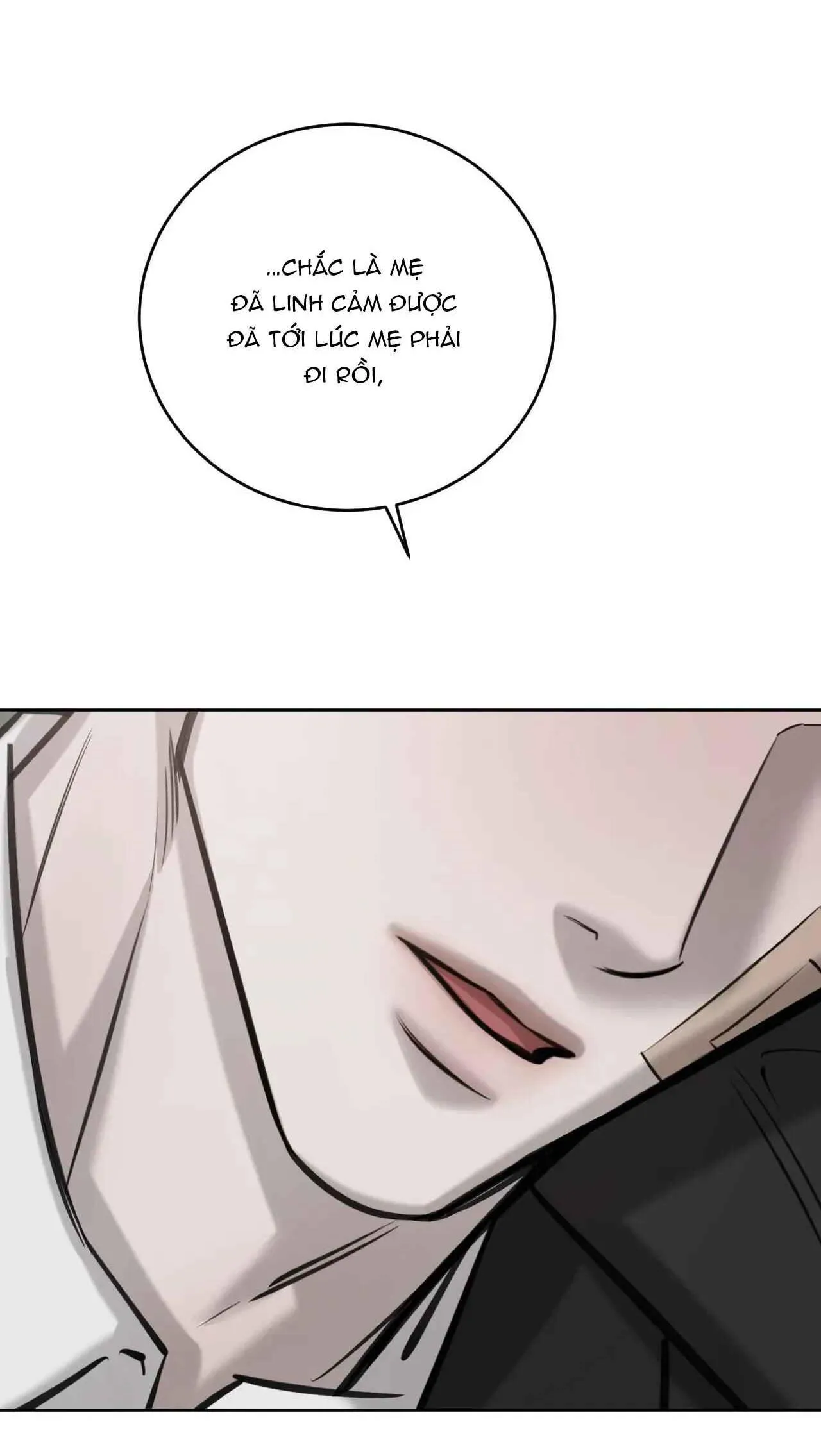 GIỮA TÌNH CỜ VÀ ĐỊNH MỆNH Chapter 67 Trang 7