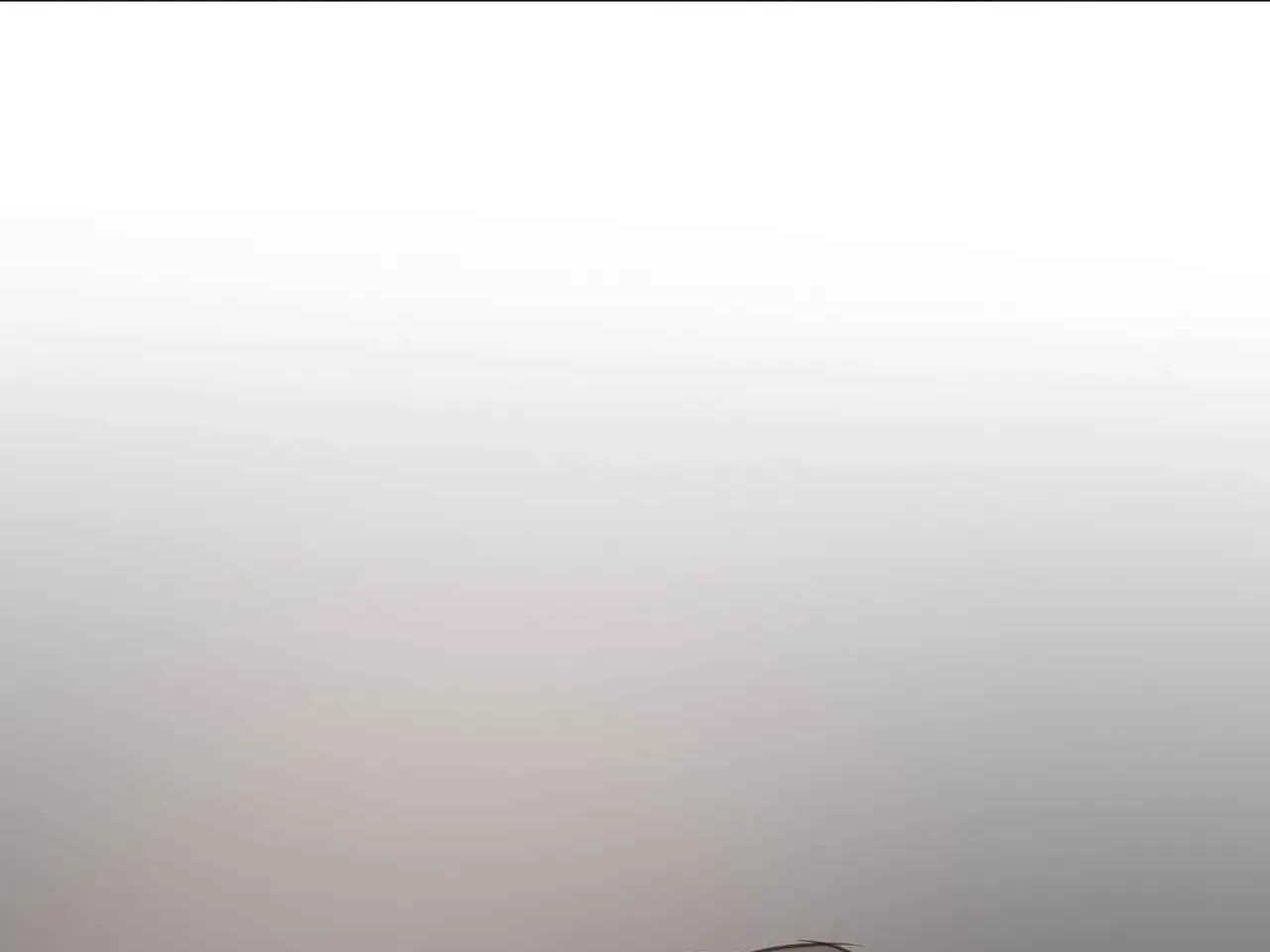 GIỮA TÌNH CỜ VÀ ĐỊNH MỆNH Chapter 77 Trang 57