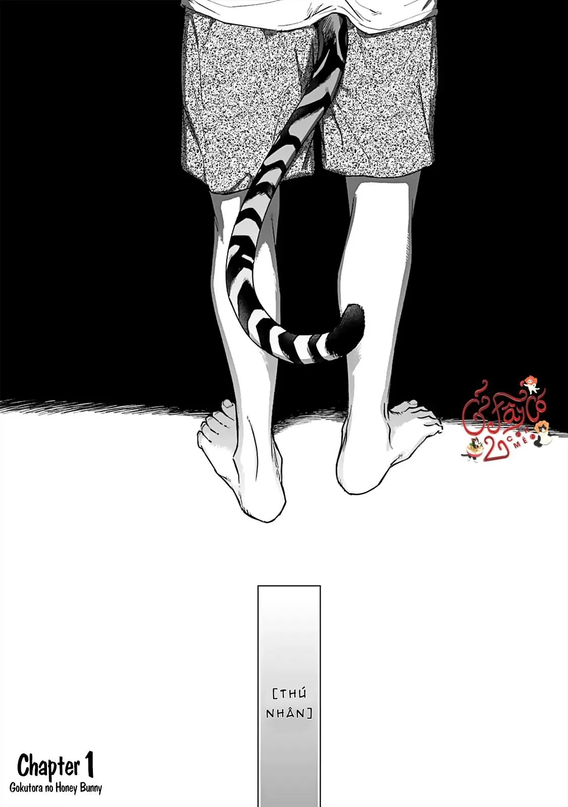 Gokutora no Honey Bunny Chapter 1 Trang 5