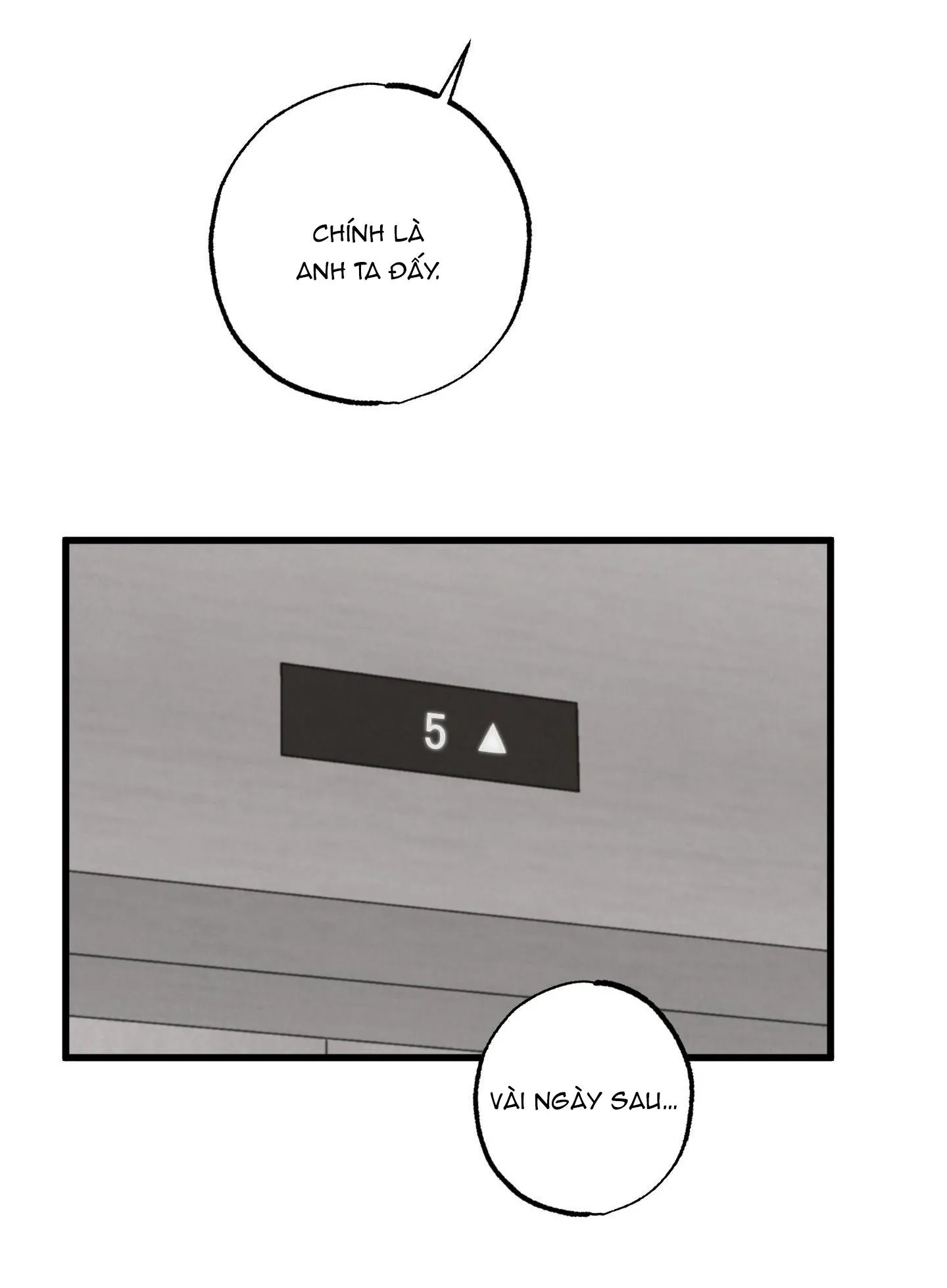 Golden Pair Chapter 5 Trang 14