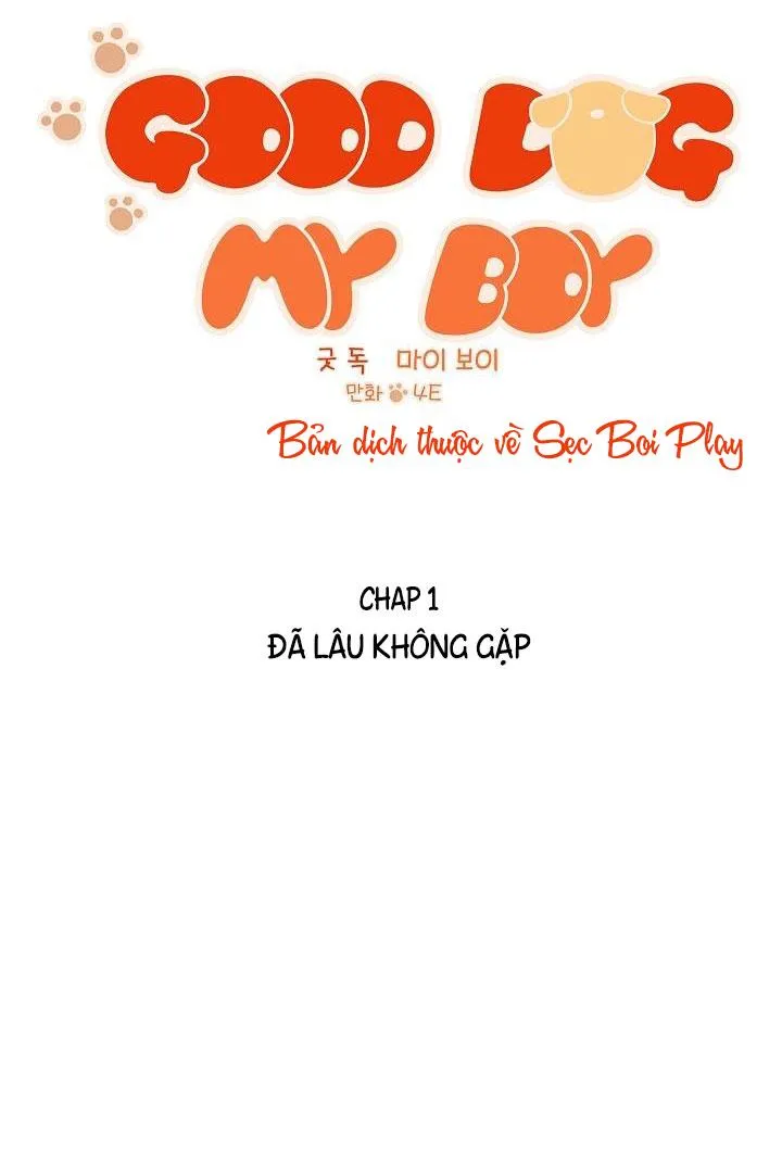 Good dog , my boy Chapter 1 Trang 4