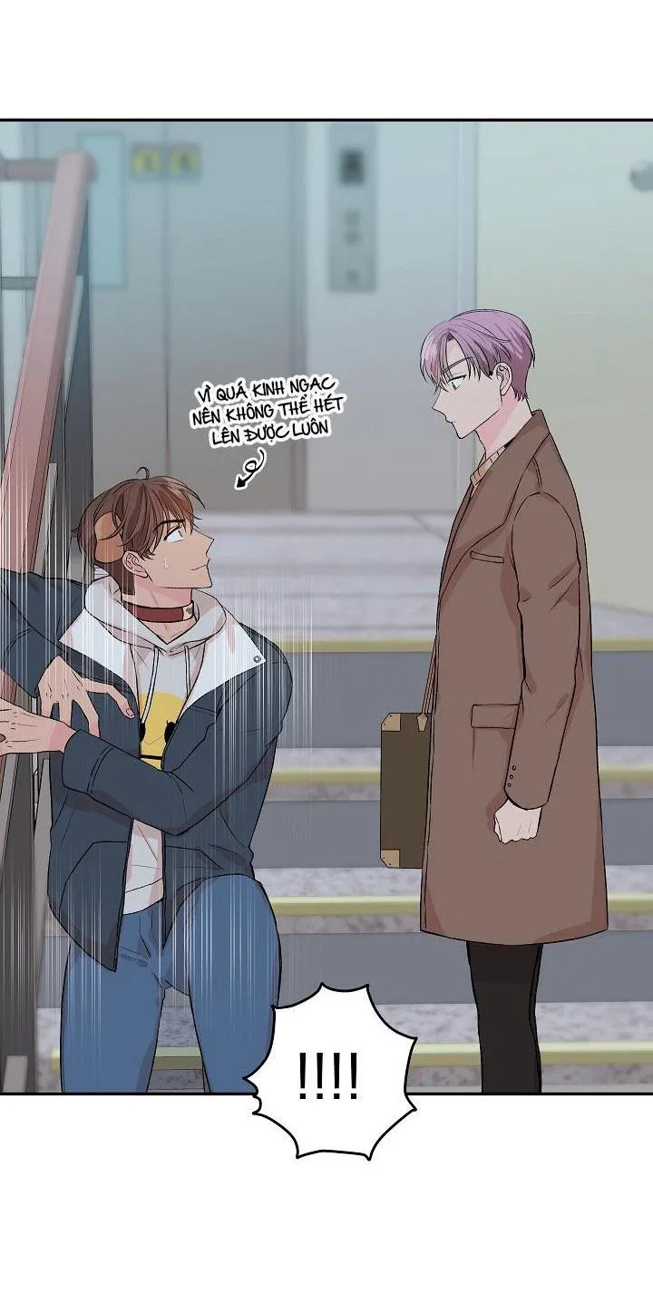 Good dog , my boy Chapter 1 Trang 32