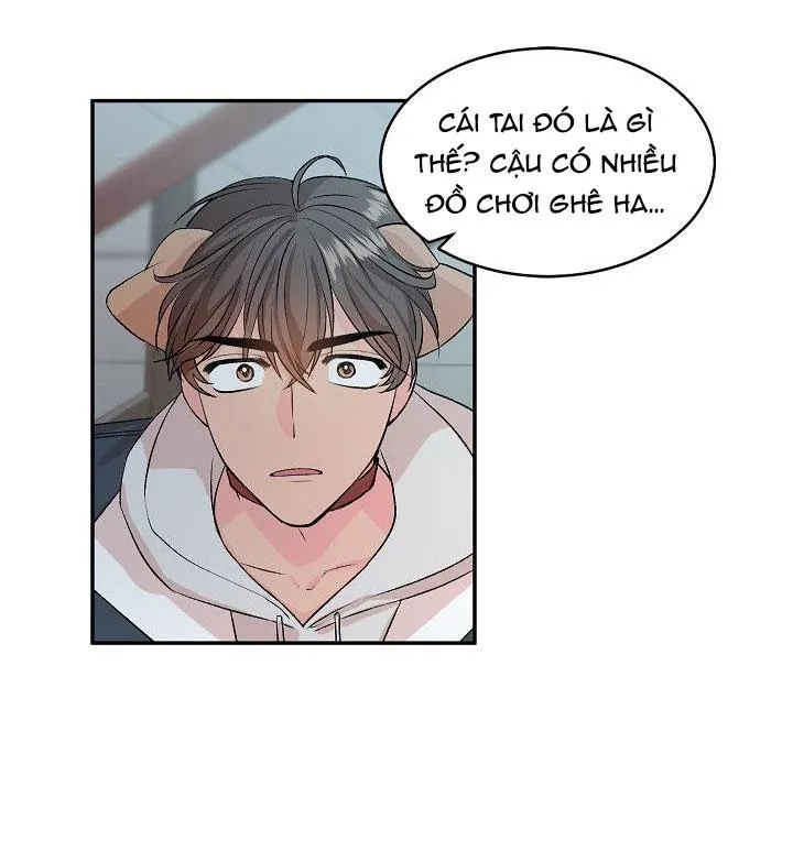 Good dog , my boy Chapter 1 Trang 35