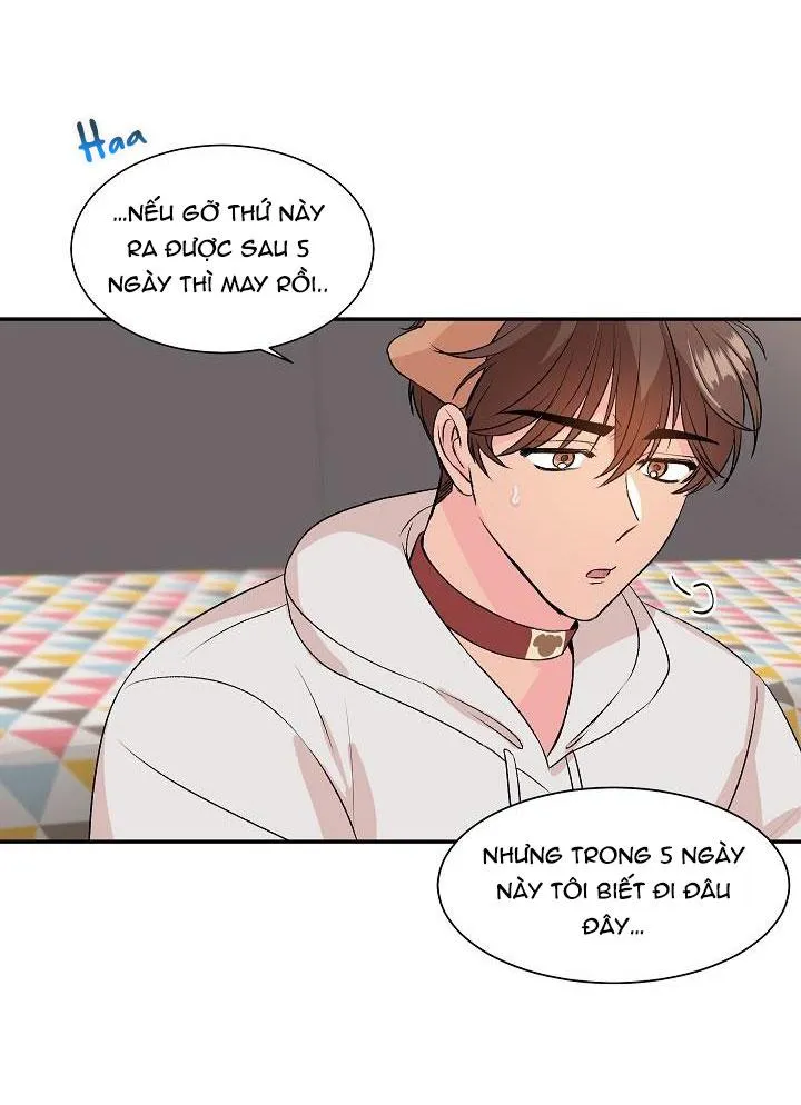 Good dog , my boy Chapter 1 Trang 42