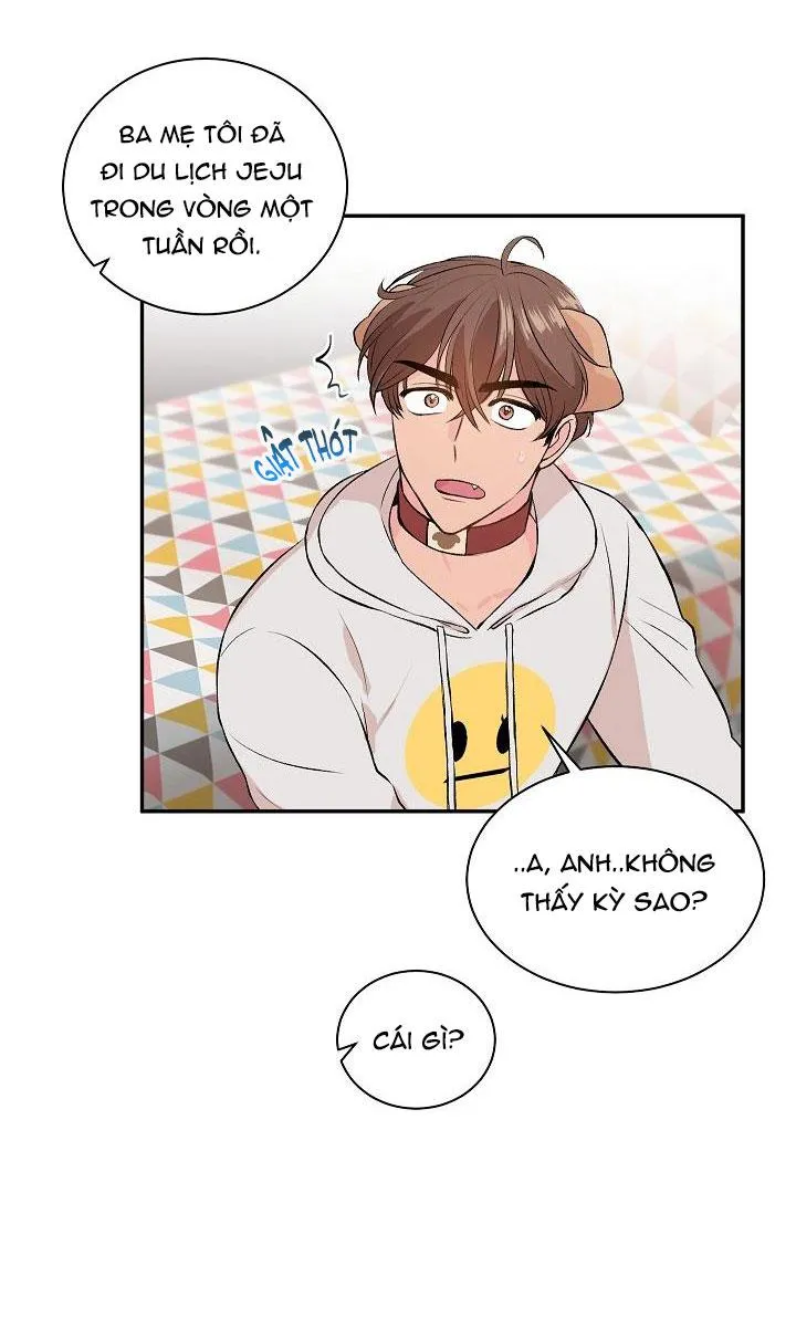 Good dog , my boy Chapter 1 Trang 44