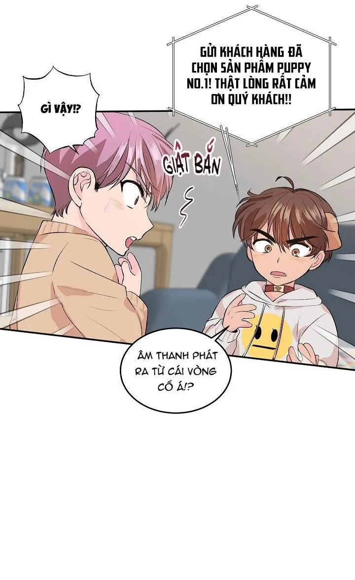 Good dog , my boy Chapter 1 Trang 50