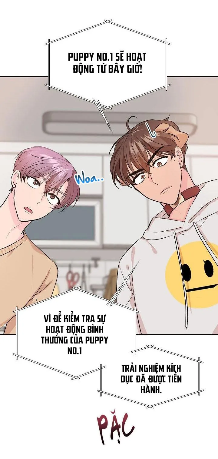 Good dog , my boy Chapter 1 Trang 51