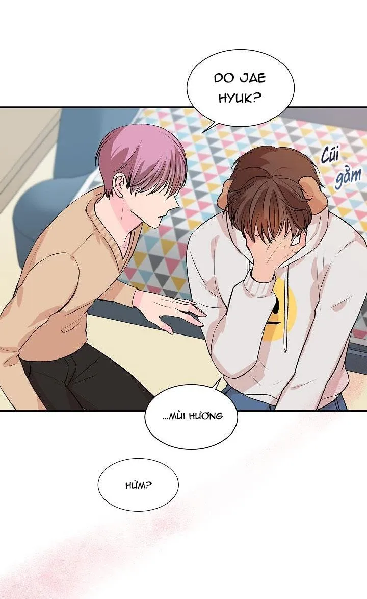 Good dog , my boy Chapter 1 Trang 53