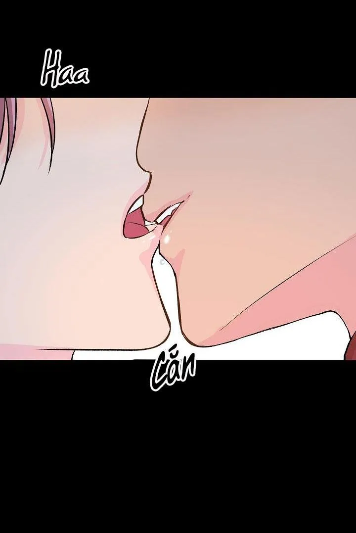 Good dog , my boy Chapter 1 Trang 58