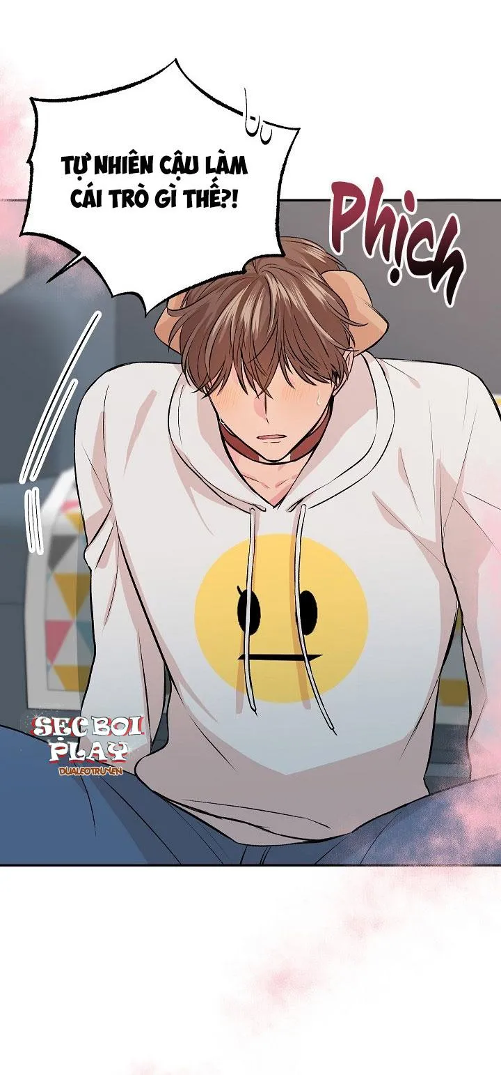 Good dog , my boy Chapter 2 Trang 5