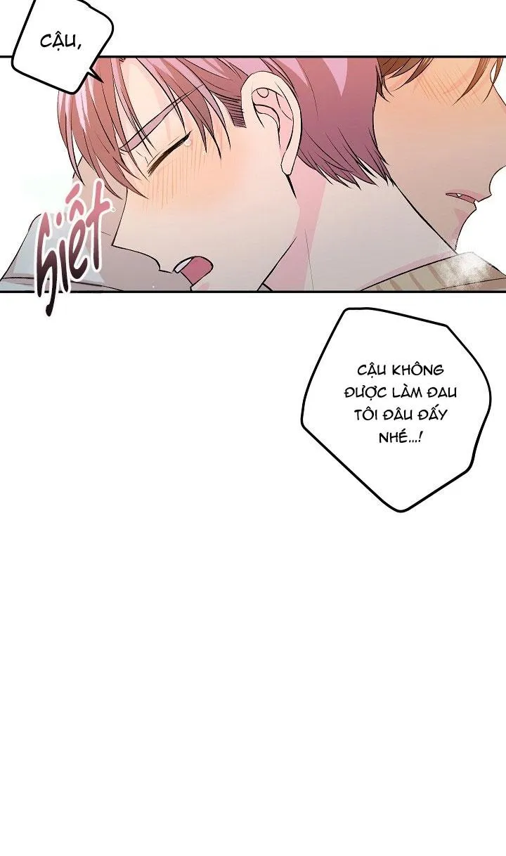 Good dog , my boy Chapter 2 Trang 21