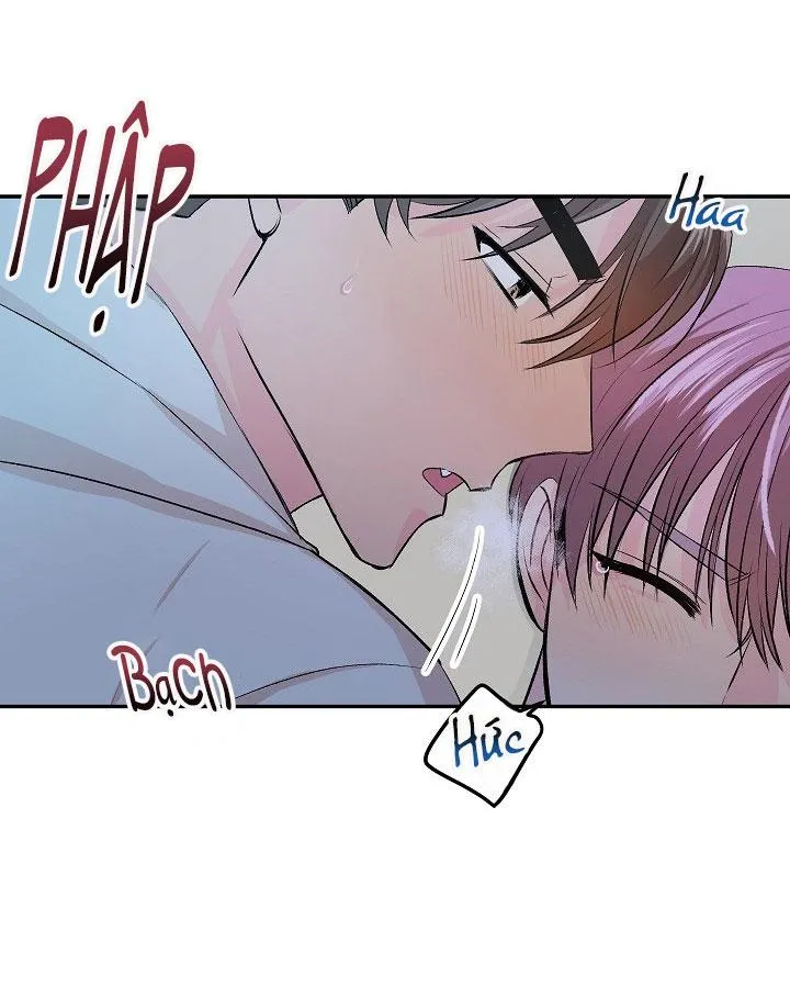 Good dog , my boy Chapter 2 Trang 32