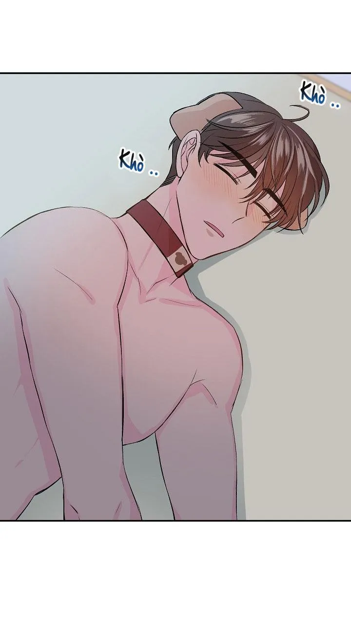 Good dog , my boy Chapter 2 Trang 56