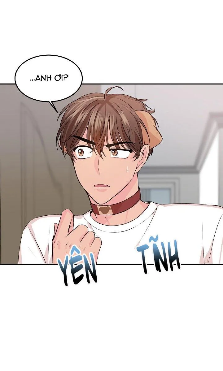 Good dog , my boy Chapter 4 Trang 6