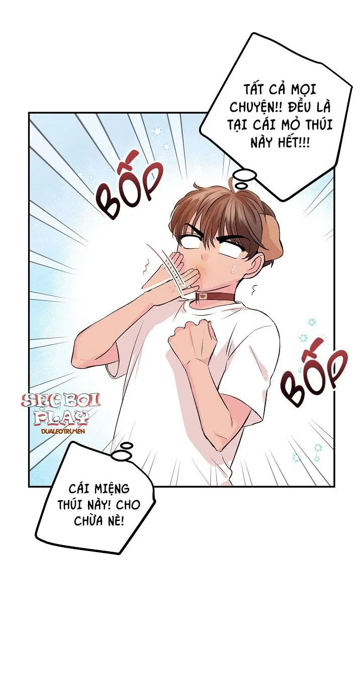 Good dog , my boy Chapter 4 Trang 7