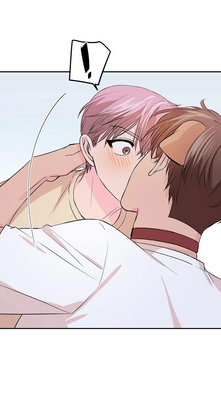 Good dog , my boy Chapter 4 Trang 49