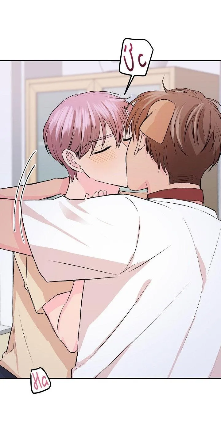 Good dog , my boy Chapter 4 Trang 52